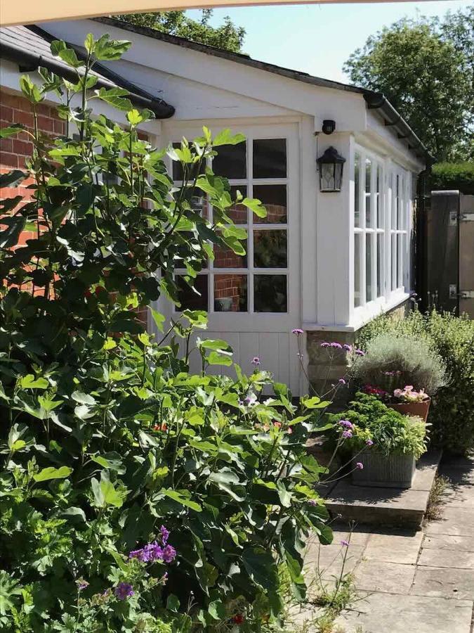 Norburton Hall Cottages 브리드포트 외부 사진